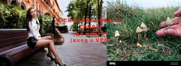 дурь Аркадак
