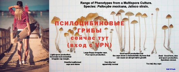 дурь Аркадак
