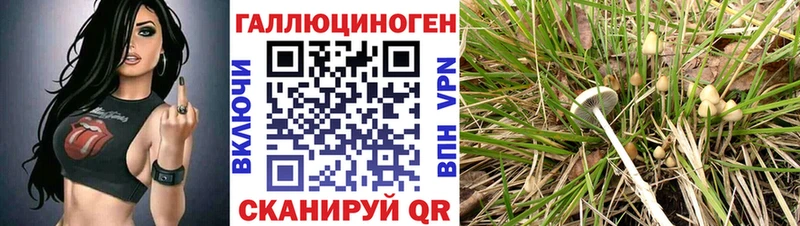 kraken ССЫЛКА  Моздок  Псилоцибиновые грибы GOLDEN TEACHER  где продают наркотики 
